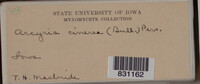 Image Associated With the Occurence